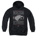Game of Thrones Winter Is Coming Ugly Christmas Youth Hoodie