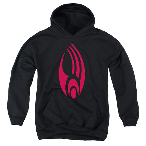 Star Trek Borg Logo Youth Hoodie