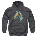 Aquaman Water Shield Youth Hoodie