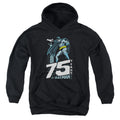 Batman Rooftop Youth Hoodie