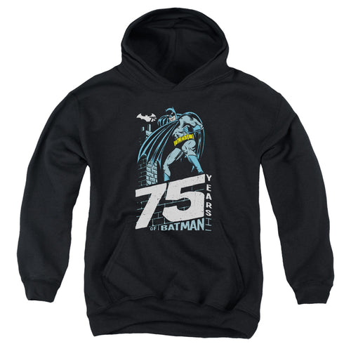 Batman Rooftop Youth Hoodie