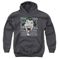 DC Comics Dastardly Merriment Youth Hoodie