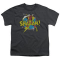 DC Comics Power Bolt Youth/Toddler T-Shirt