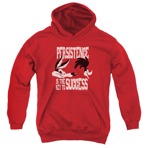 Looney Tunes Persistence Youth Hoodie