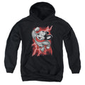 Mighty Mouse Mighty Storm Youth Hoodie
