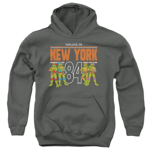 Teenage Mutant Ninja Turtles NYC Youth Hoodie
