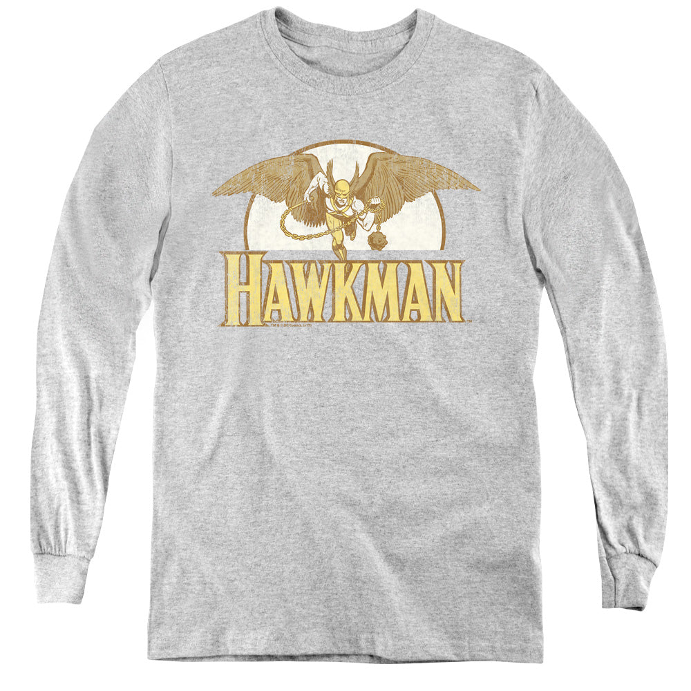 DC Comics Fly By Youth Long Sleeve T-Shirt