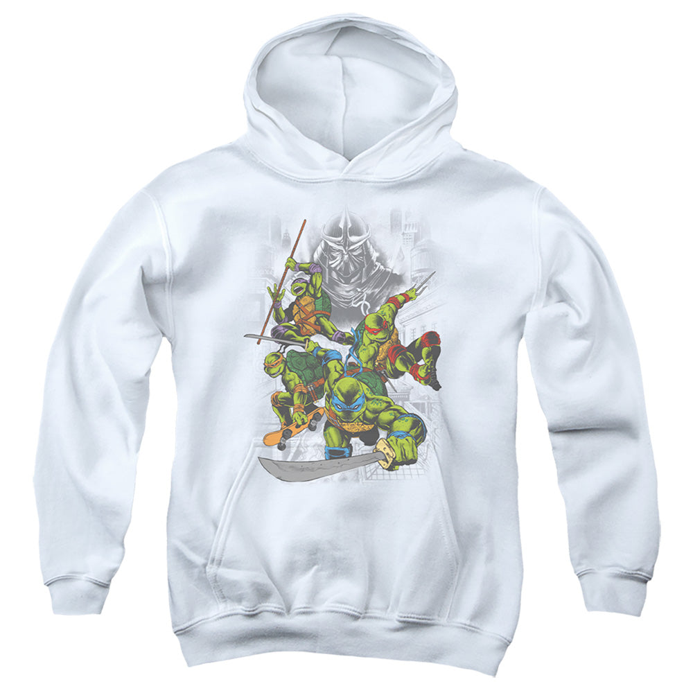 Teenage Mutant Ninja Turtles Shredder and Turtles Comic Youth Hoodie