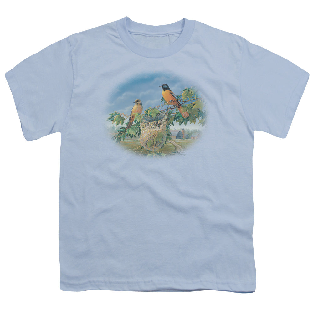 Wild Wings Orioles and Farm Youth/Toddler T-Shirt