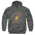 DC Comics Flash Busted Logo Youth Hoodie
