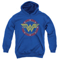 DC Comics Wonder Woman Circle Logo Youth Hoodie