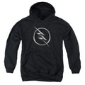 The Flash Zoom Logo Youth Hoodie