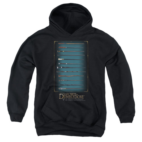 Fantastic Beasts Wands Youth Hoodie