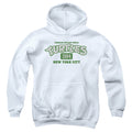 Teenage Mutant Ninja Turtles Est. 1984 Nyc Youth Hoodie