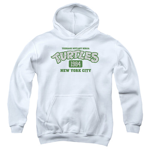 Teenage Mutant Ninja Turtles Est. 1984 Nyc Youth Hoodie