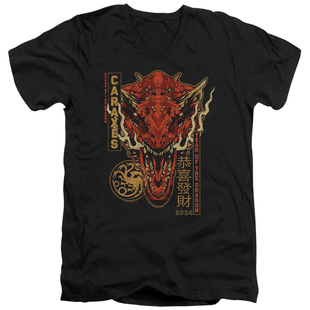 House of the Dragon Targaryen Year Of The Dragon V-Neck T-Shirt