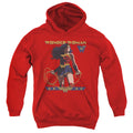 Wonder Woman WW 80th Stance Youth Hoodie