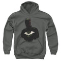 The Batman Silhouette with Riddler Logo Youth Hoodie