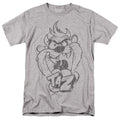 Looney Tunes Faded Taz T-Shirt
