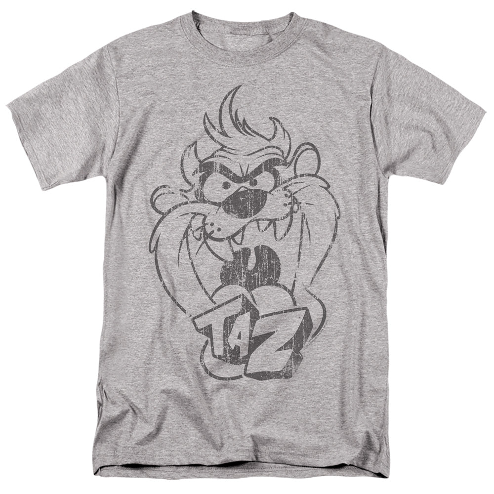 Looney Tunes Faded Taz T-Shirt