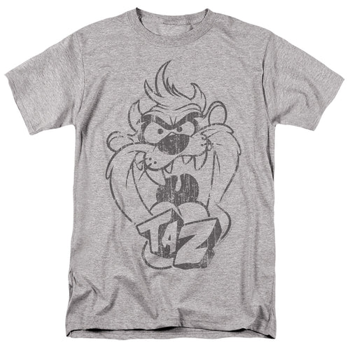 Looney Tunes Faded Taz T-Shirt