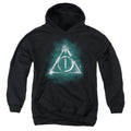 Harry Potter Geometric Deathly Hallows Youth Hoodie