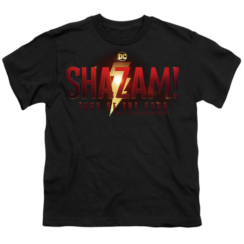 Shazam! Fury of the Gods Movie Logo Youth/Toddler T-Shirt