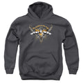 Superman Take Wing Youth Hoodie