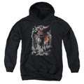 Superman Above the Clouds Youth Hoodie