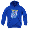 DC Comics Ride Free Youth Hoodie