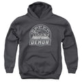 Looney Tunes Speed Demon Youth Hoodie