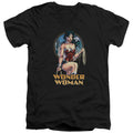 DC Comics City Warrior V-Neck T-Shirt