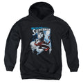 Superman Protect Earth Youth Hoodie