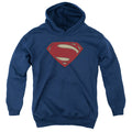 Batman v Superman Super Movie Logo Youth Hoodie