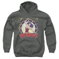 Wonder Woman 1984 Lasso Star Youth Hoodie