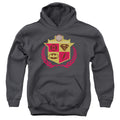 Justice League Defenders Youth Hoodie