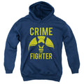 DC Comics Fight Crime Youth Hoodie