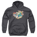 DC Comics Please Get Me Youth Hoodie