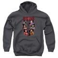 Justice League League Of Six Youth Hoodie