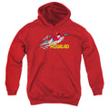 DC Comics Aqualad Youth Hoodie