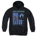 Aquaman Aquaman Stats Youth Hoodie
