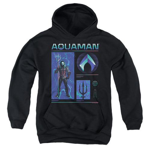 Aquaman Aquaman Stats Youth Hoodie