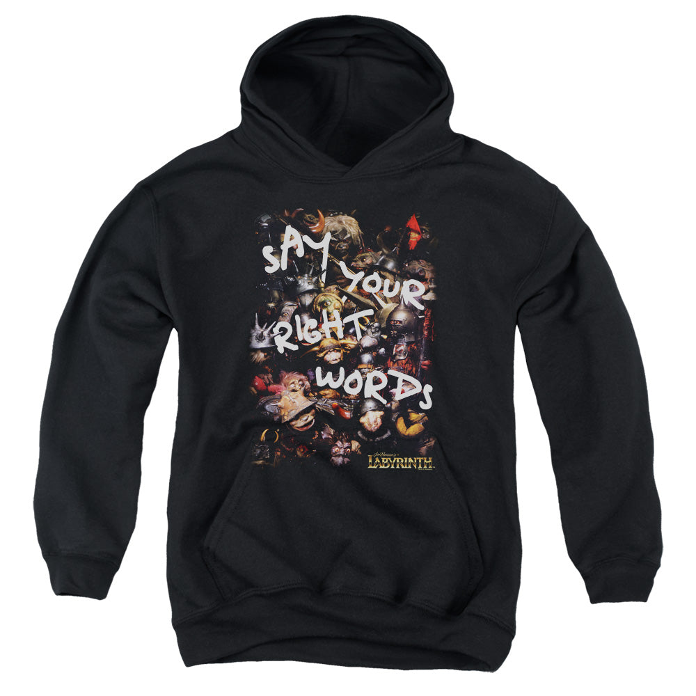 Labyrinth Right Words Youth Hoodie
