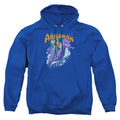 DC Comics Ride Free Pullover Hoodie