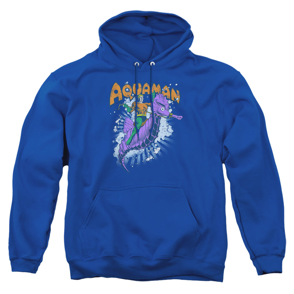DC Comics Ride Free Pullover Hoodie