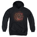 Harry Potter Celestial Nomad Gryffindor Youth Hoodie