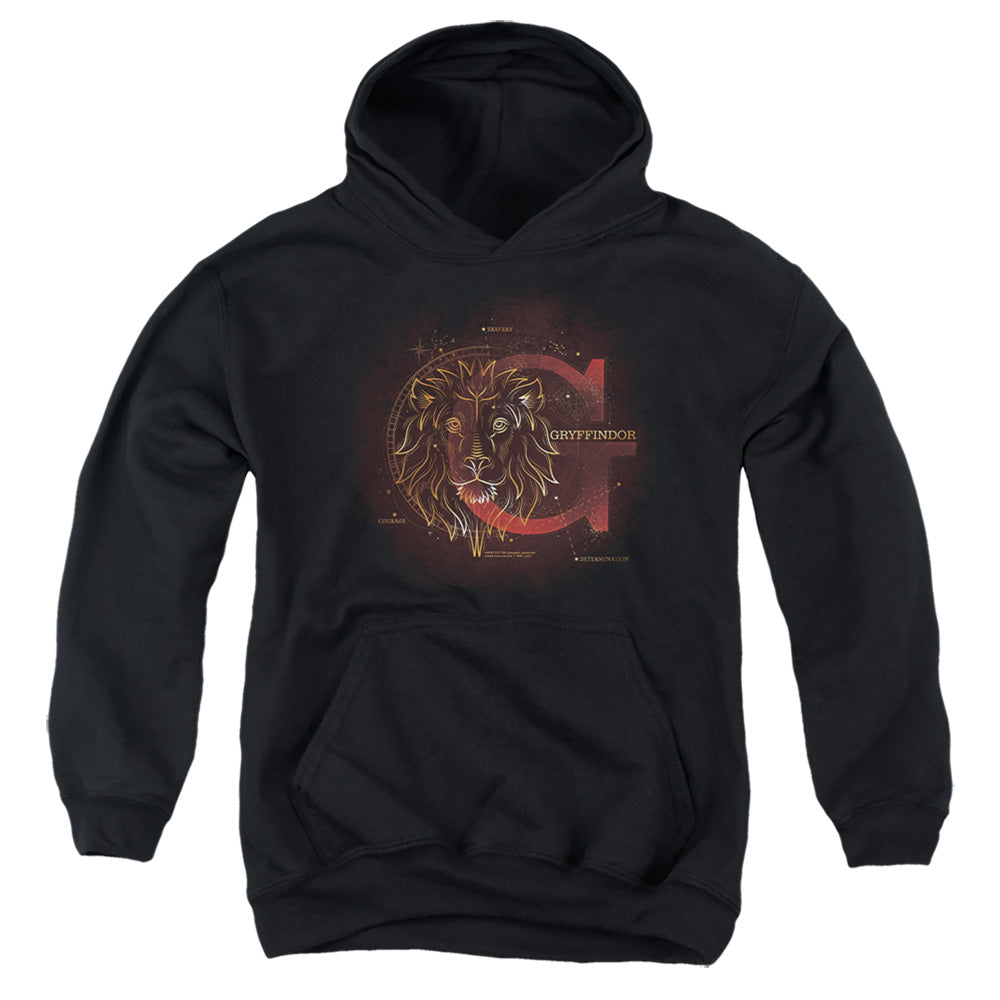 Harry Potter Celestial Nomad Gryffindor Youth Hoodie