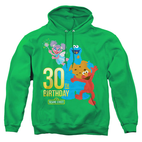 Sesame Street 30th Birthday Pullover Hoodie
