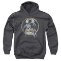 Batman Team Youth Hoodie