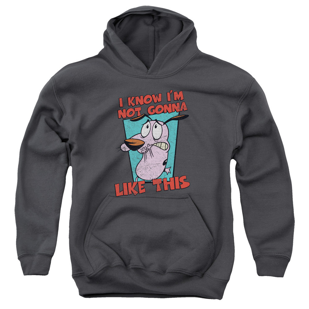 Courage the Cowardly Dog Not Gonna Like Youth Hoodie